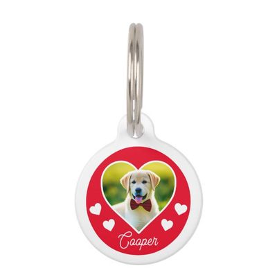 dog_pet_photo_heart_personalized_christmas_pet_id_tag-rc64a0d489fcf4e7f9cda789c8ae7a60a_z2cvj_630.jpg
