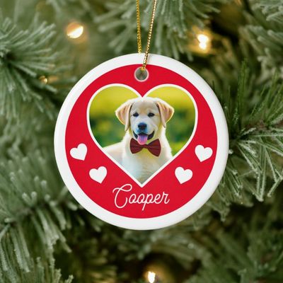 dog_pet_photo_heart_personalized_christmas_ceramic_ornament-rd6165f3fd2ed4e06983a82d074547c4d_05wi1_8byvr_630.jpg