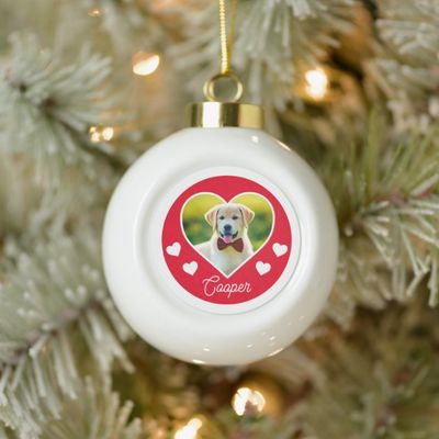 dog_pet_photo_heart_personalized_ceramic_ball_christmas_ornament-rbb6cb1e8847548749724eebb9b84d7e8_05wez_8byvr_630.jpg