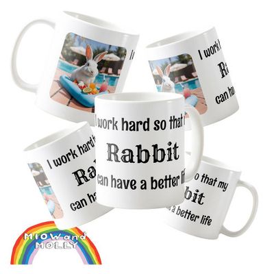 rabbit_owner_pet_bunny_gift_coffee_mug-r_8jww8f_1024.jpg