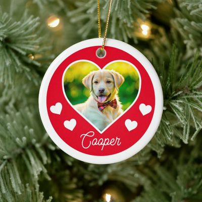 dog_pet_photo_heart_personalized_christmas_ceramic_ornament-r611f50e99c4a44b28d85fee98ff88fe2_05wi1_8byvr_630.jpg
