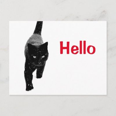 black_cat_in_the_white_snow_hello_postcard-r7ec2b2be278c49339f178bfcfb77764b_ucbjp_1024.jpg