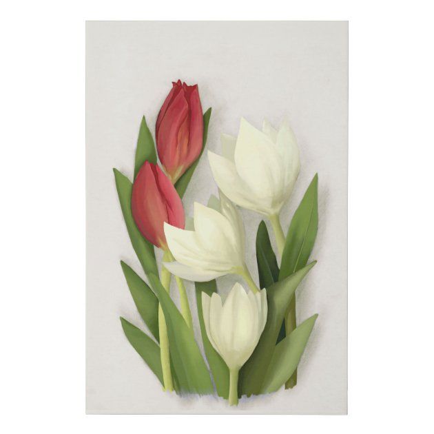 red_and_white_tulips_floral_faux_canvas_print-r8ea2308e284348c19f2311c17cdc611e_eh6mz_630