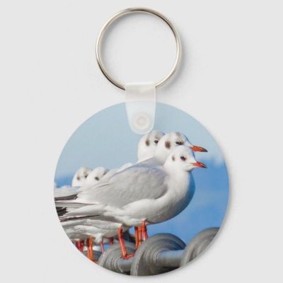 seagulls_cute_bird_keychain-rea4ed9445c1948caac99743d26895f42_c01k3_1024.jpg