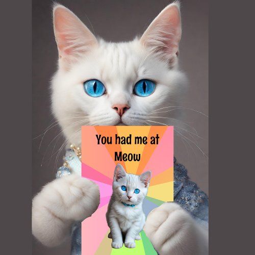 Beautiful cat.jpg