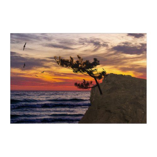 Sunset Tree