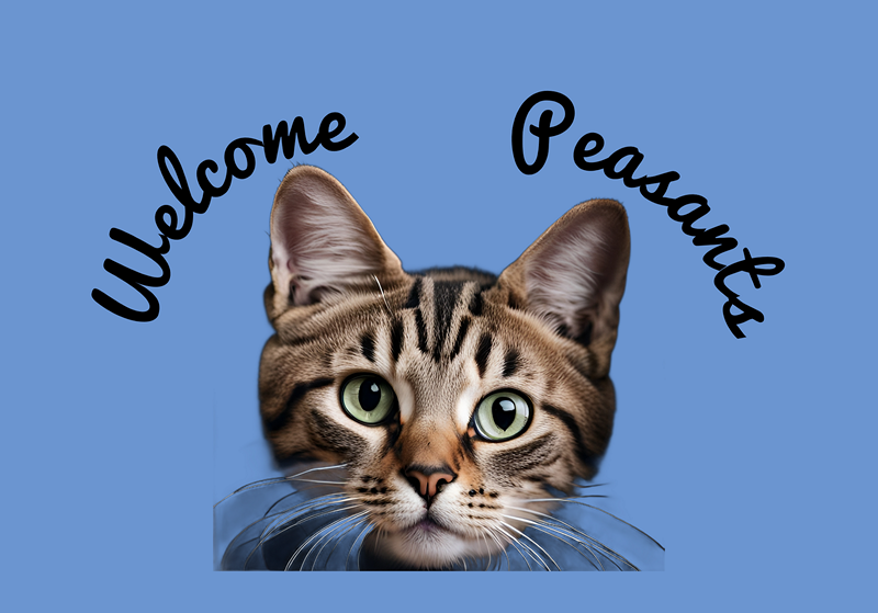 Zazzle Cat Welcome Peasants Doormat.png