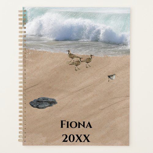 four birds on a beach planner