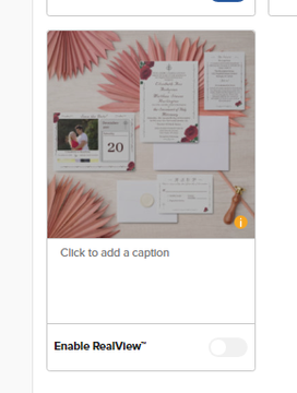 A_New_View_1-1737332659165.png
