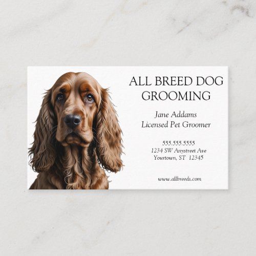 beautiful_cocker_spaniel_dog_grooming_pet_services_business_card-r9f284402fdf84efd9349675a50f4ca4f_tcvsb_1024.jpg