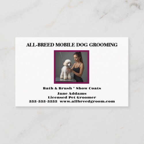 dog_groomer_photo_pet_groomer_dog_walker_boarding_business_card-rf158768645414bebba4ec109c3591c30_tcvsb_1024.jpg