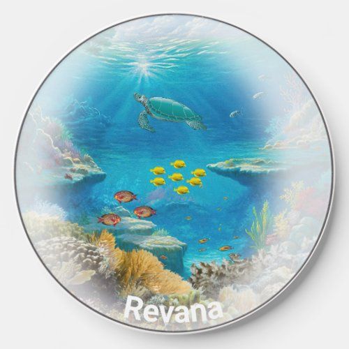Coral Reef Vignette