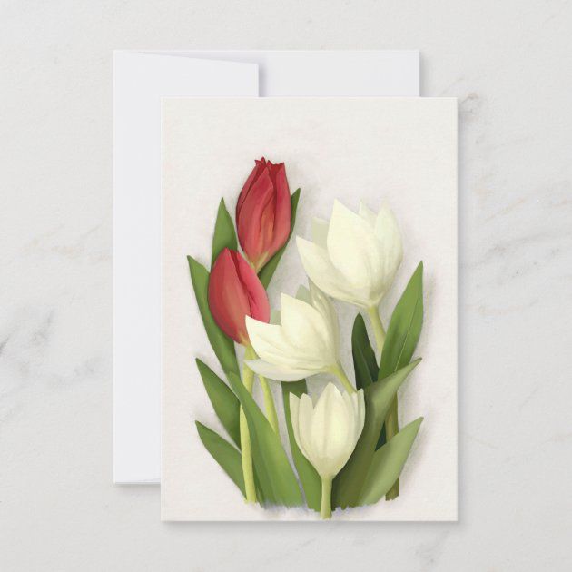 red_and_white_tulips_floral_card-r573e9e6c5f8b4d73b201068df0b51dd8_tcvur_630.jpg