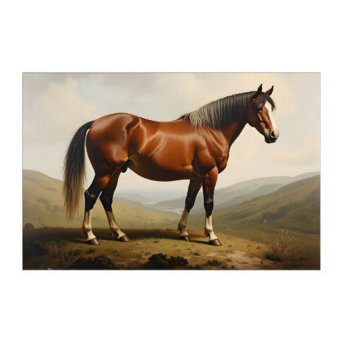 Pony on a Moor acrylic print