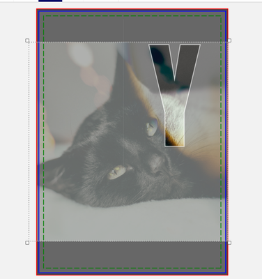 Sara_H_2-1749028481339.png