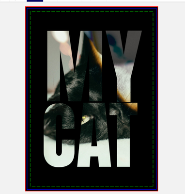 Sara_H_4-1749029027726.png