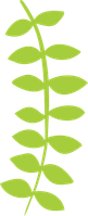 Floral 13.png