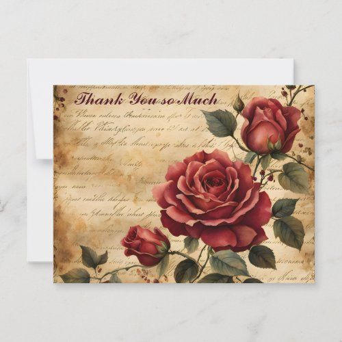 Red Rose on Old Parchment