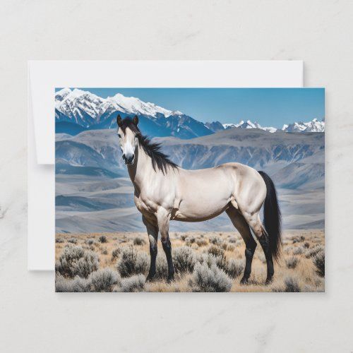 Spirit of the West postcard