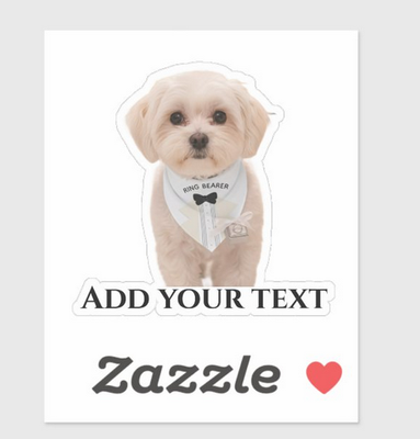 Sara_H_2-1760039147731.png
