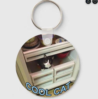 cool cat