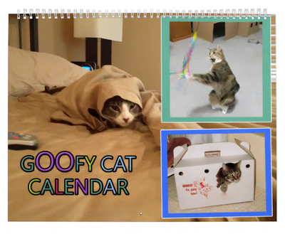 goofy cat calendar