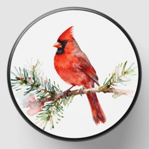 Cardinal on a Fir Branch mini candle