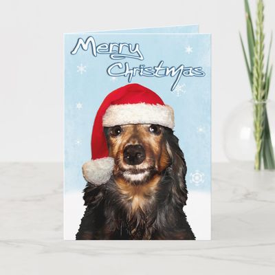 merry_christmas_dachshund_card-r5d6e46c6c93c47f0ad9458c4069297a7_jbro3q_1024