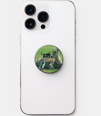popsocket - bird.png