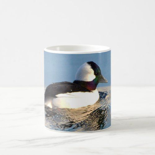 Bufflehead Duck mug