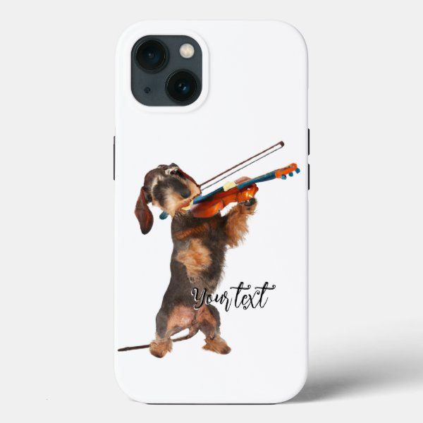 WirehairedDachshundiPhone13.jpg