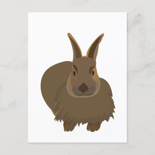 animal_hare_rabbit_bunny_postcard-ra1a2624114904c7abda3d6f352d4d35a_qdey1_1024.jpg