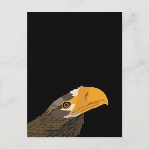 sea_eagle_bird_postcard-r89a070225dcc4dbba2e8c1407044cc98_qdey1_1024.jpg