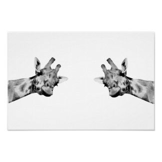 Black and white giraffe animal picture poster by El_Deep