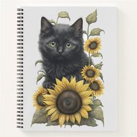 ZCatNoteBDone13.jpg