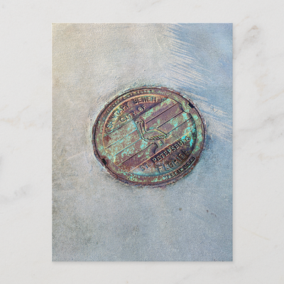 Zazzle - Mockup - Florida, Photography, postcard for postcrossing (1).png
