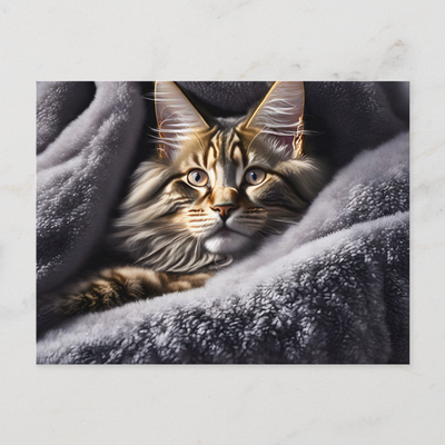 Zazzle - Mockup - Cats in the blankets, postcard for postcrossing.png