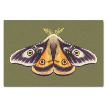 moth_insect_art_goblincore_saturnia_witchy_green_tissue_paper-r5d09d8877e884418a167127da1751b61_z6ltx_432.jpg