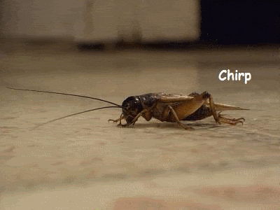 Deb_0-1648226893114.gif