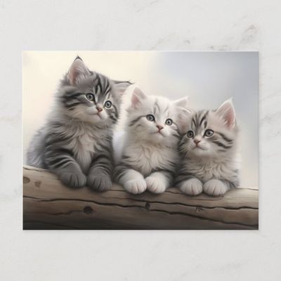 curious_little_ones_cute_tabby_kittens_postcard-rcb393474987f492b8fe45200d51706f4_qdey1_1024.jpg
