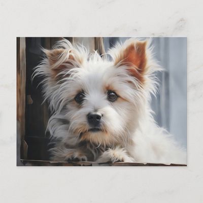 cute_white_dog_portrait_postcard-r8c4163140c9e45789023273d622c44b9_qdey1_1024