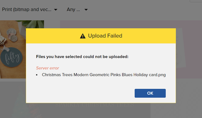 Server Error on uploading an image from Media Centre.png