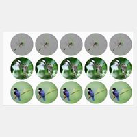 dragonfly_and_puppet_bird_enchanting_animated_labels-rea7427a1cf6149c0a6cfc0b03393ad17_07rig_1024.jpg