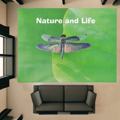 green_nature_and_life_dragonfly_rug-r5d152f169b95477096eab4f43c3cef36_7uzqt1_1024.jpg