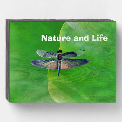 nature_and_life_wooden_box_sign-rd48570caf09d4afaad1093df3777b222_03mq9_1024.jpg