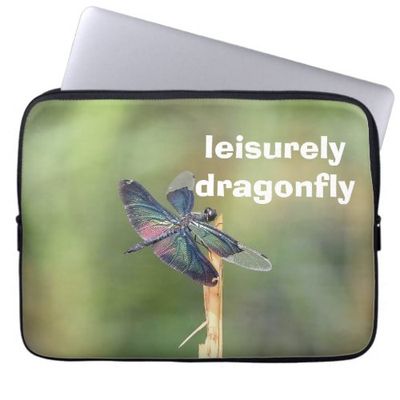leisurely_dragonfly_laptop_sleeve-redd6739739e44f27b4b77602883f78c2_ar51i_8byvr_1024.jpg