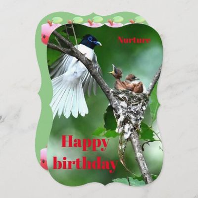 mother_bird_bird_feeding_card-r442beab1442c457f9f28d1476d55534c_tcx72_1024.jpg
