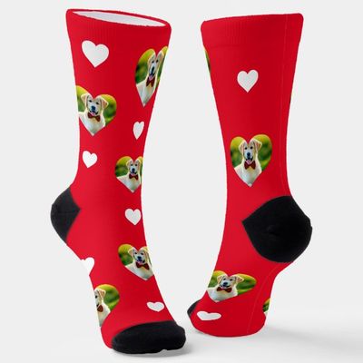 customizable_pet_and_hearts_pattern_red_socks-rfba04c3d1c334b3a9ce9e56d1c6cec7d_su8q6_630.jpg